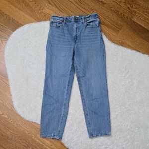 Abercrombie & Fitch The Mom High Rise Jeans, Womens Size 26